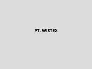 PT-WISTEX
